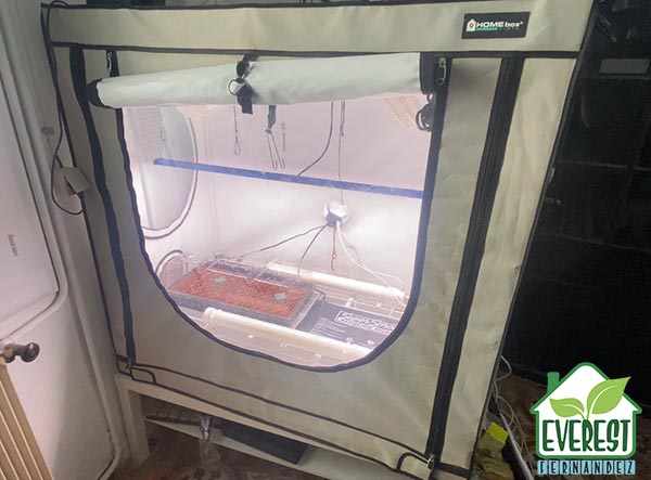 HOMEbox Clonebox grow tent